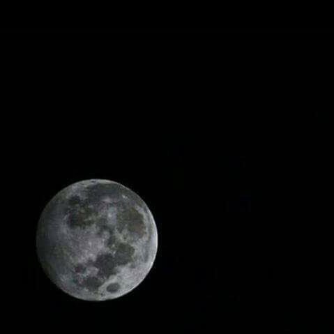 #صورة_جديدة_للملف_الشخصي