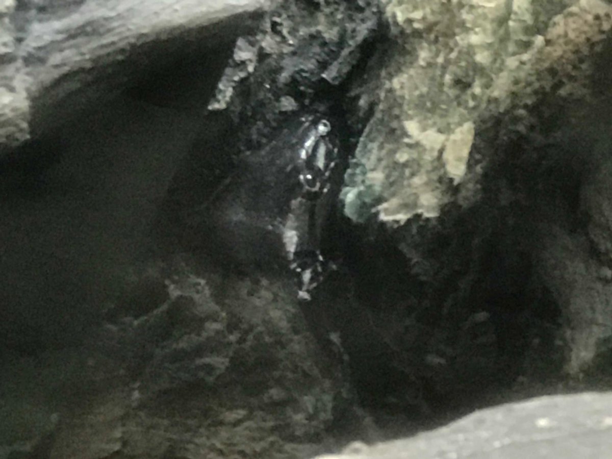 Matt Dietrich tweet media