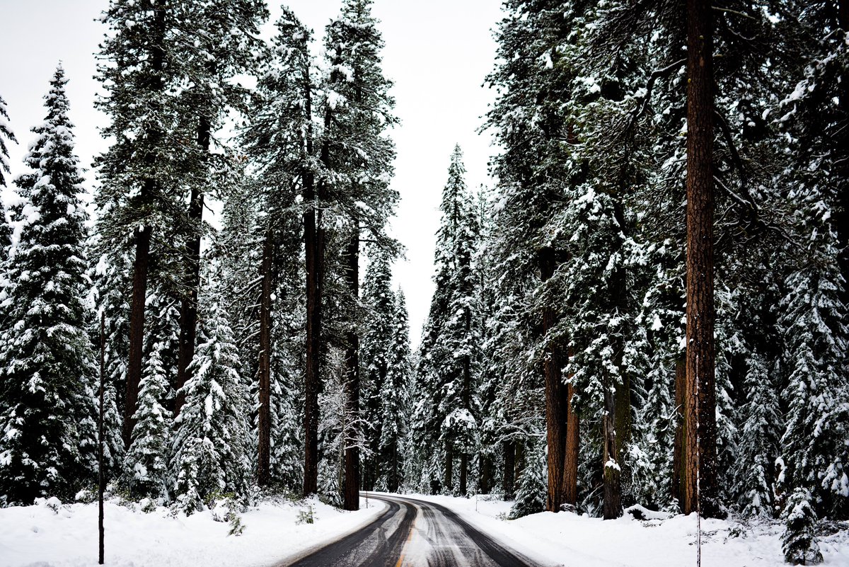 PlacePassTravel's tweet photo. Winter is here. PC: Koushik C. #PlacePass https://t.co/ecceBJNGl1