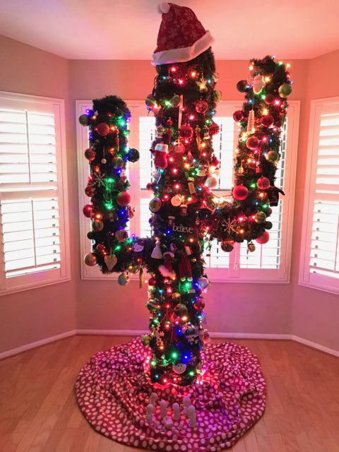 ArizonaRealtor tweet picture