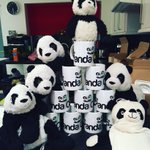 Photo by The Panda Cups (@ThePandaCups)
