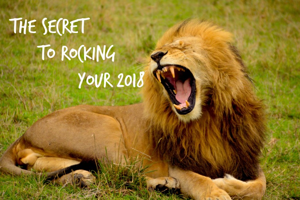 SamGarlandNYC's tweet photo. Are you exhausted just thinking about 2018? Tired of setting the same old goals never reaching them? Let's change all that. https://t.co/7jUK7uKhWy https://t.co/rEowKDJeeN