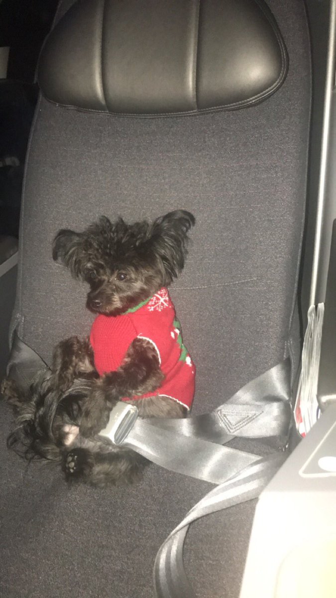 BebeRexha's tweet image. Someone got their own business class seat. 🙄#Spoiled