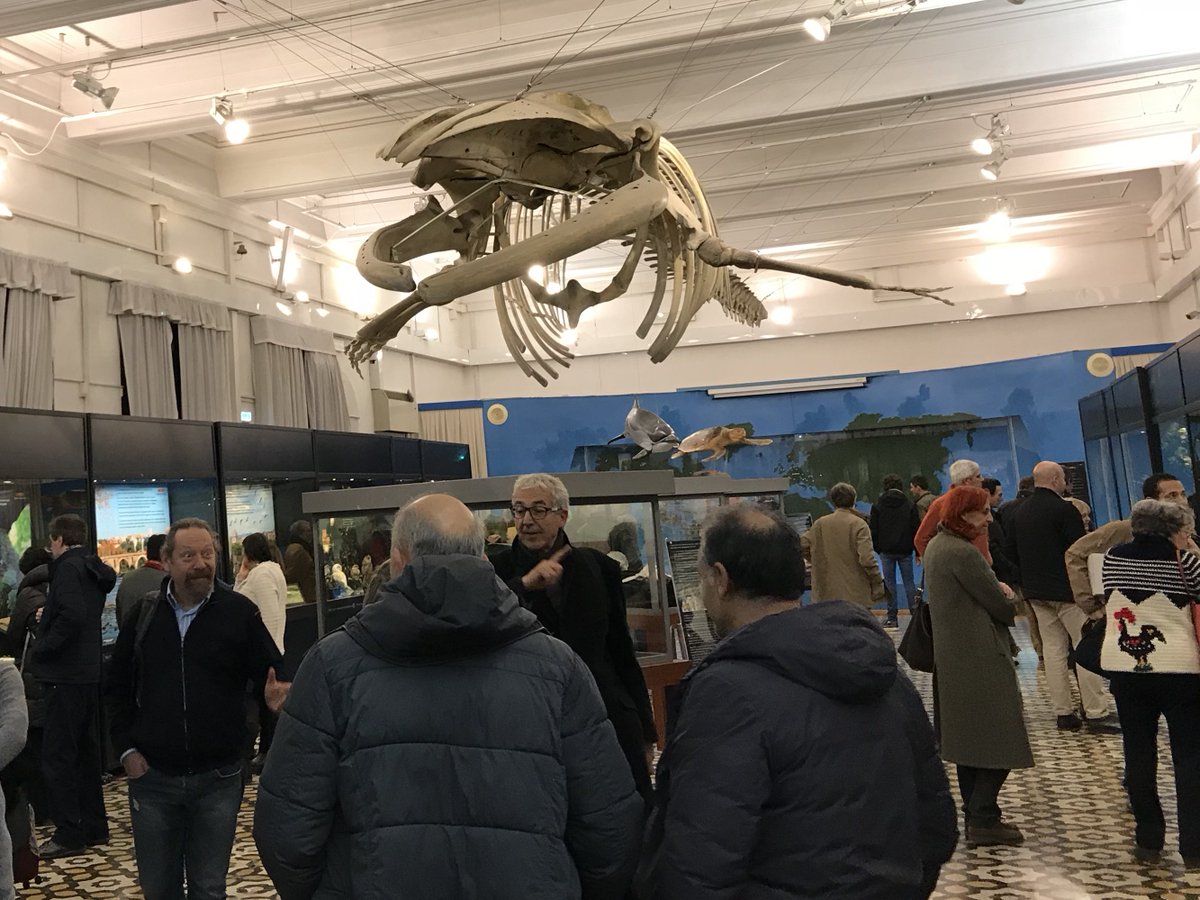 FilGius's tweet photo. Partiti!! 
“Museo di zoologia.. diverso per natura”, visitabile fino al 31 marzo 2018.
Vi aspettiamo! 
@Sovrintendenza @museiincomune https://t.co/R8KqEbHeDD
