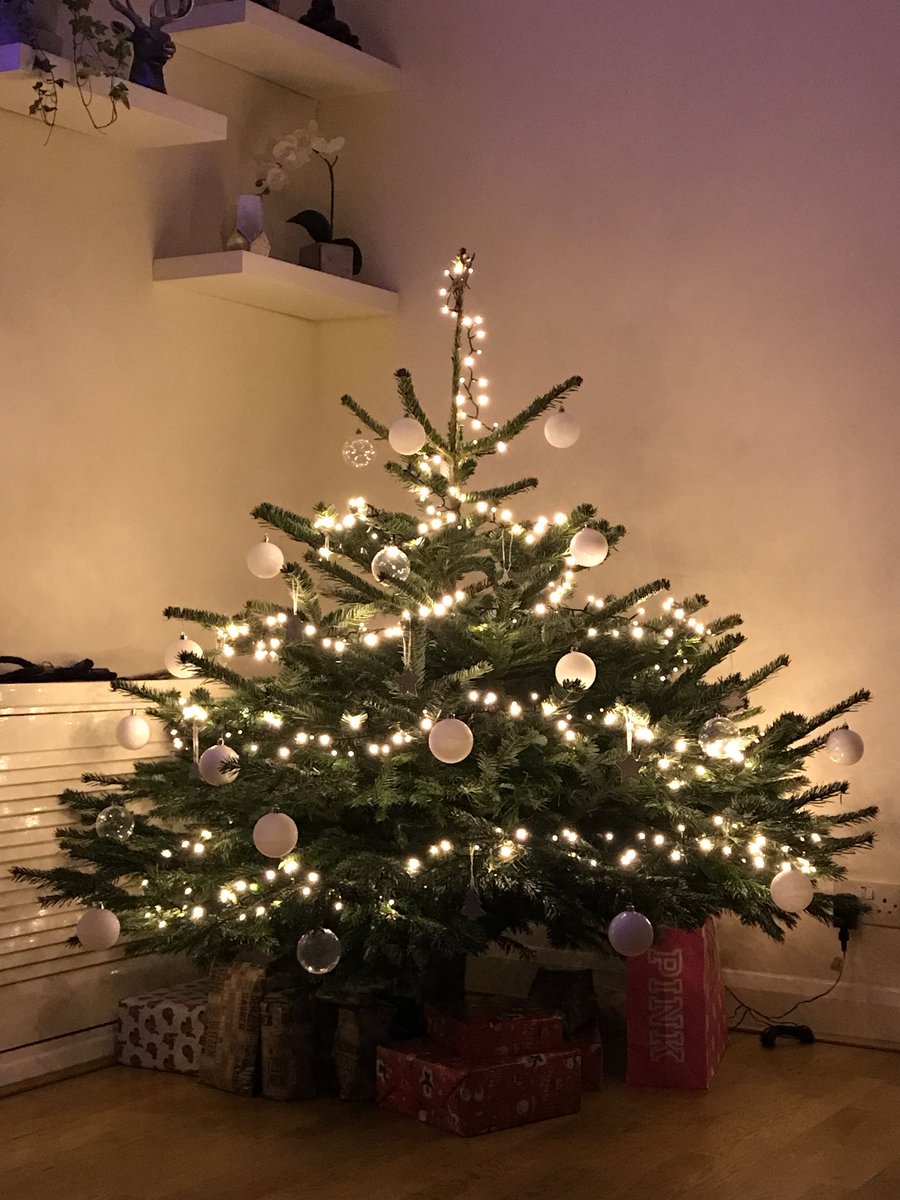 _Jodie's tweet photo. @SimpleTreeLDN thanks for the best tree iv ever had! Perfect service and delivery https://t.co/NN6Tx6tDlR