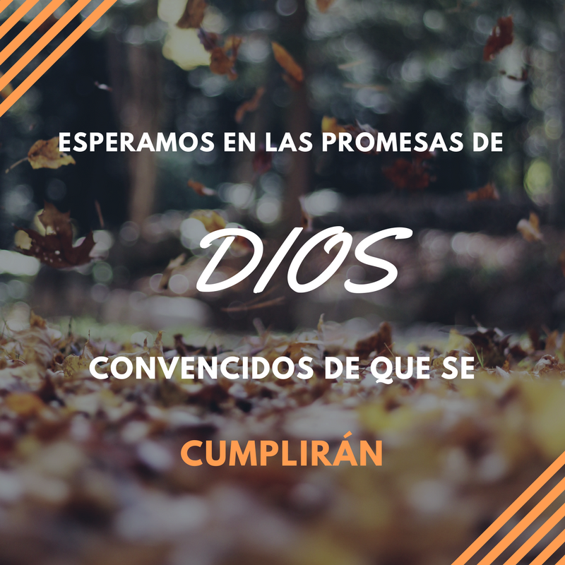 ElRadar907's tweet photo. #ElRadar https://t.co/xkVNTUWSWK