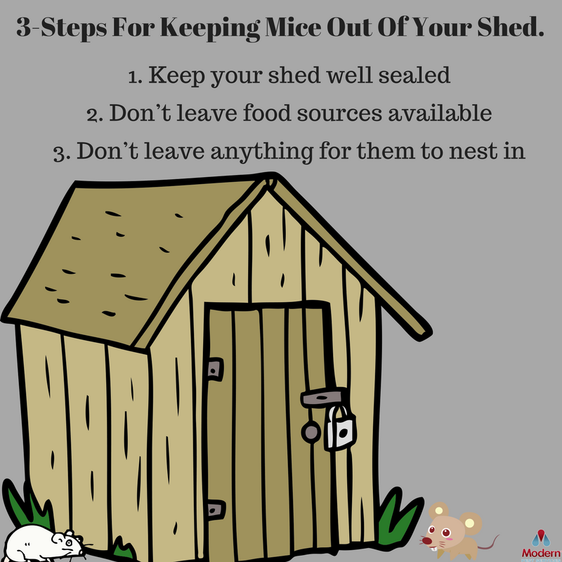 modernpest100's tweet photo. We promise your snowmobile, snowblower, and shovels don't mind living alone in your shed. Here are 3 tips to keep the mice out. 🐁 https://t.co/NbEUOdWDFE