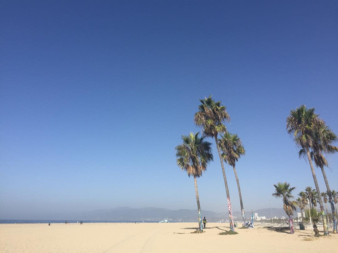 MdR_Marriott's tweet photo. We'll always choose sand over snow. 🌴 #FirstDayofWinter 📷: @kelseymasquesa https://t.co/1qnus95GrI