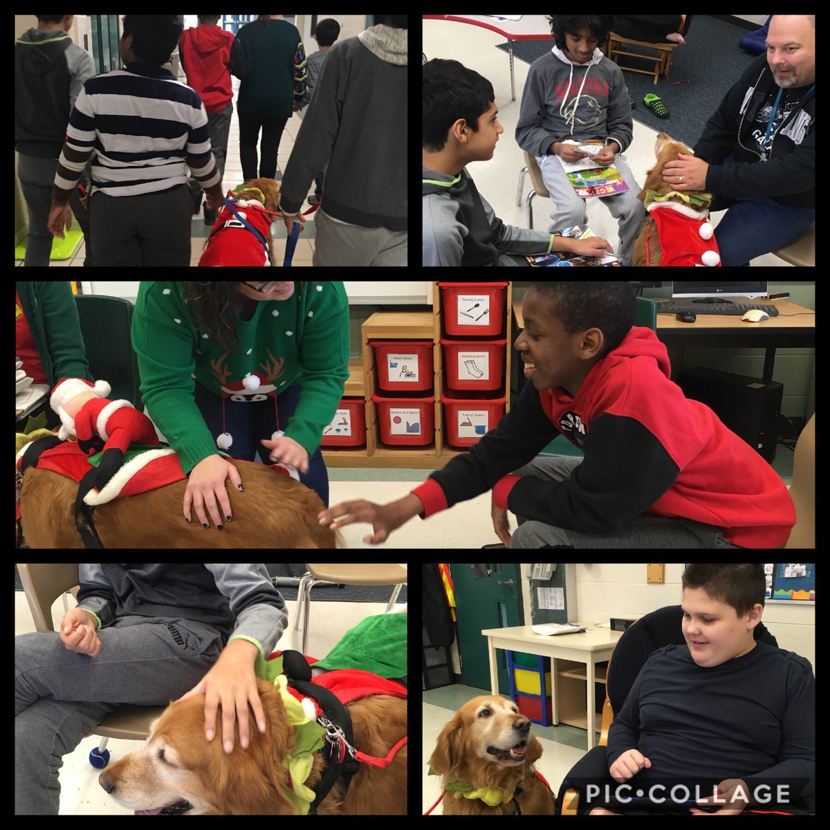 MissLFreedman's tweet photo. Great visit with our favourite therapy dog! 🐶 #ddasd1 https://t.co/CLb5EReugL