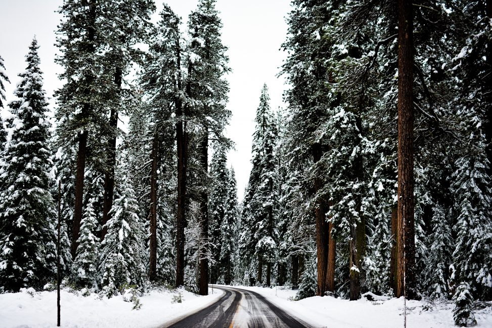 FaithDirect's tweet photo. A Prayer for Travelers - wishing a safe journey to everyone who's on the road today: https://t.co/IKms5GZ1qj https://t.co/gWssiGQiYW