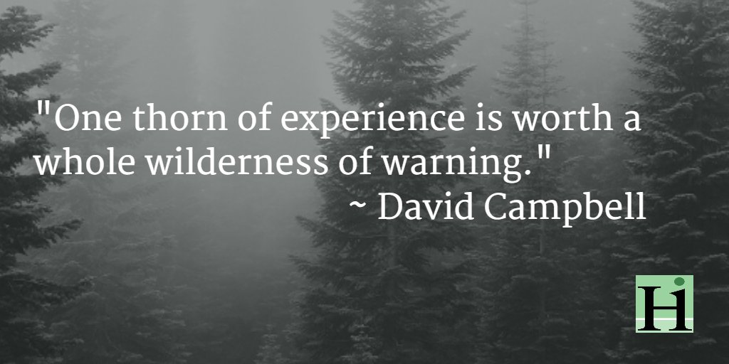 hireimaging's tweet image. &quot;One thorn of experience is worth a whole wilderness of warning.&quot; ~David Campbell #realitytesting #careerwisdom