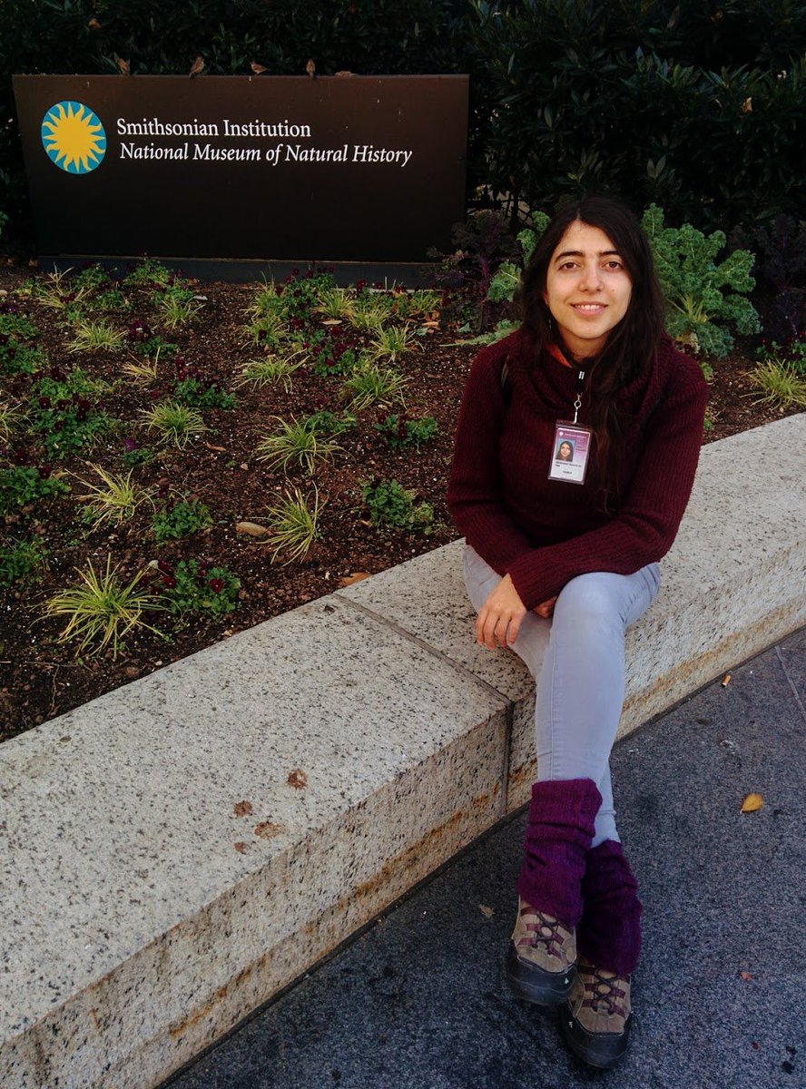PALEOiris's tweet photo. Glad of being part of @NMNH as visitor researcher during the last three months, I really learned a lot and I met very good people! #phdlife #BestSquirrelsCollectionEver #BestTimetables #BestCornBread #VivaTambiénMéxicoNavarraYSevilla https://t.co/ZTP1dYhq8s