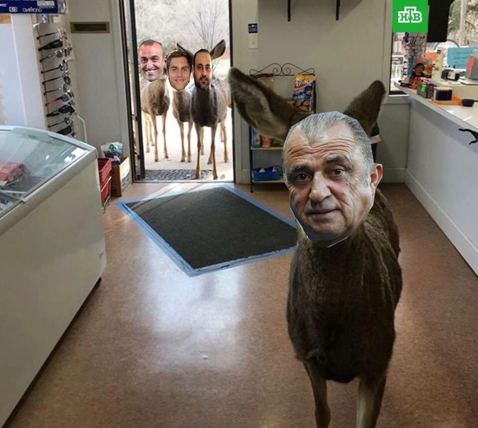 Colorado'da markete giren bu geyik, fıstıklı çikolata verilip market dışına çıkarılmış. Aynı geyik yaklaşık yarım saat sonra tüm ailesi ile birlikte tekrar geri gelmiş.