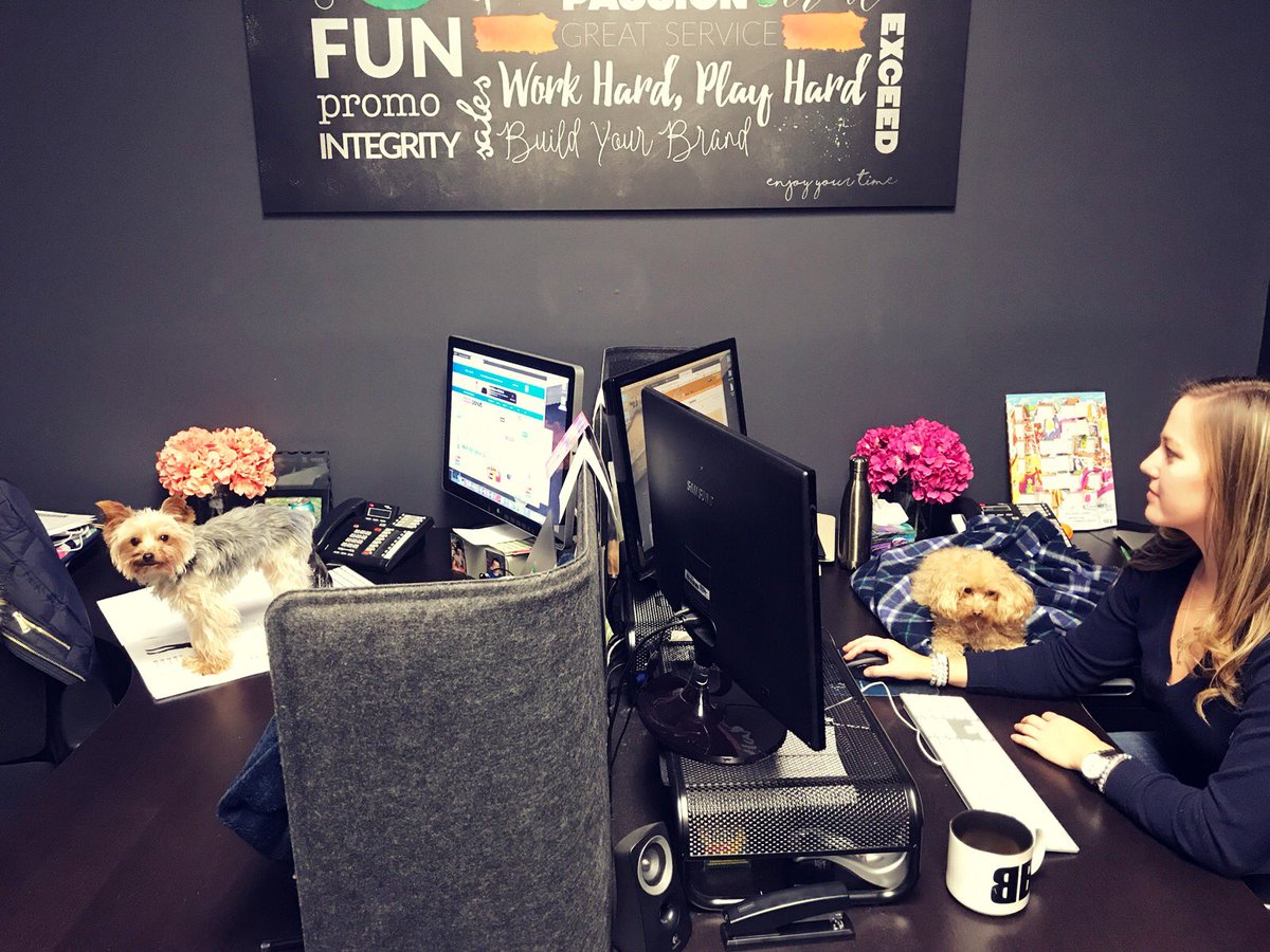 brandblvd07's tweet photo. I spy with my little eye...๐ถ๐ถ
#workpups #joblove #littlehelpers https://t.co/GAhvQt57Ok