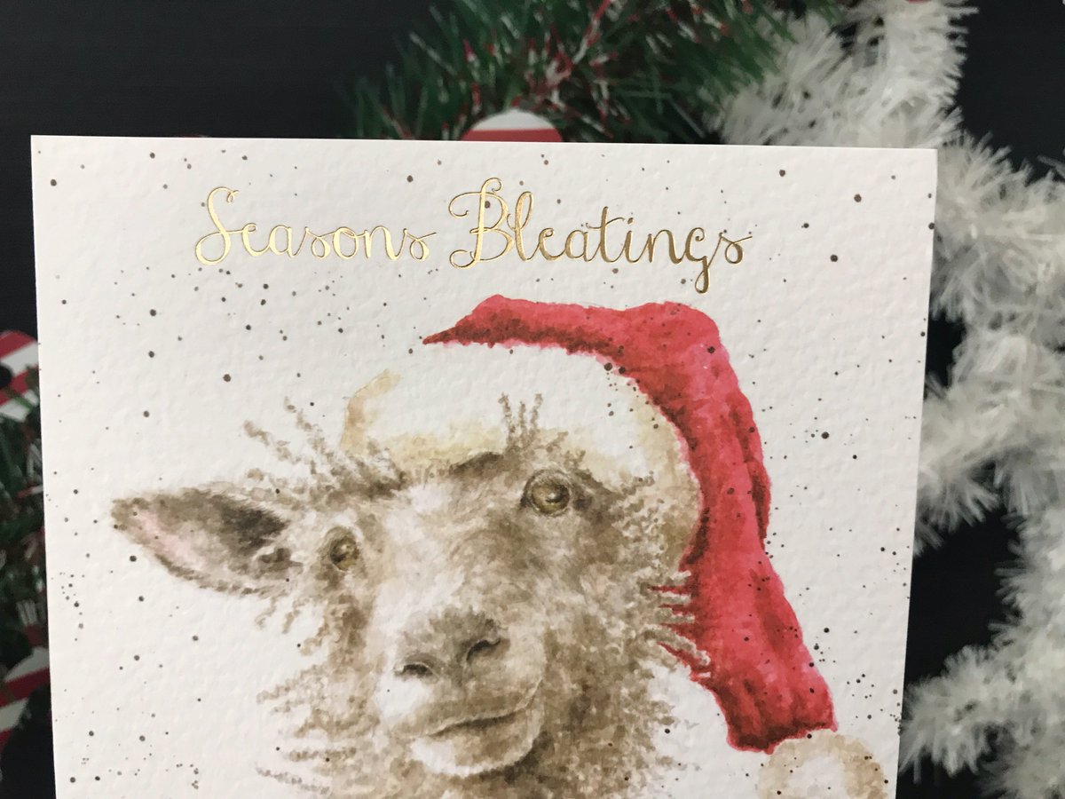 Wishing you a safe and joyful Christmas &amp; New Year break - here's to a great 2018! - The Spring Sheep Team