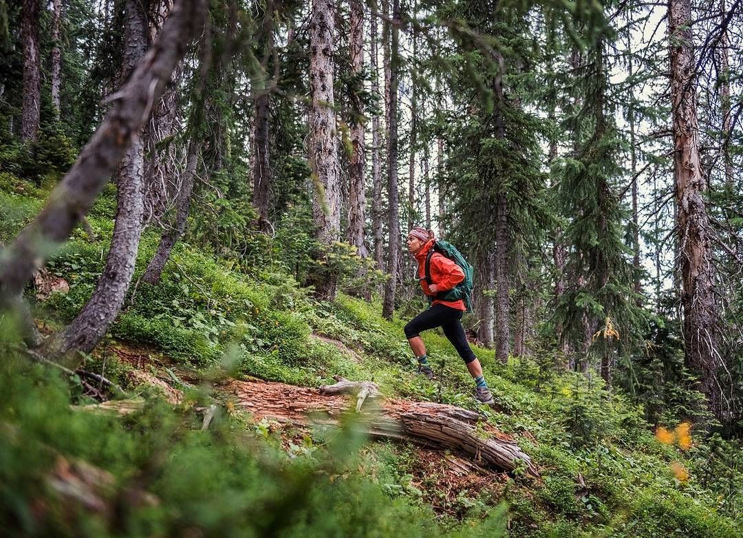 womenoutdoors's tweet image. "I'm a fan of getting lost in the woods." - @Gklucrezi

"We figure it's a good way to find yourself." - #outdoorwomen

Photo: bit.ly/2o2YuT9