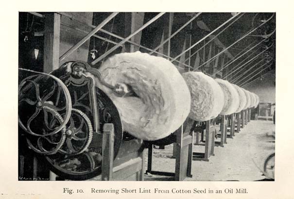 A peak in to the past // #milldistrict #tompkinshall #historyphotographed