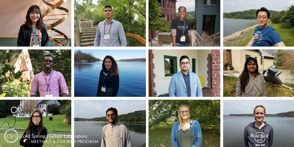 cshlmeetings's tweet image. This year, we interviewed and featured 50 scientists. Have you met all 50 of them? If not, this webpage is for you: bit.ly/votwpage #cshlvisitor