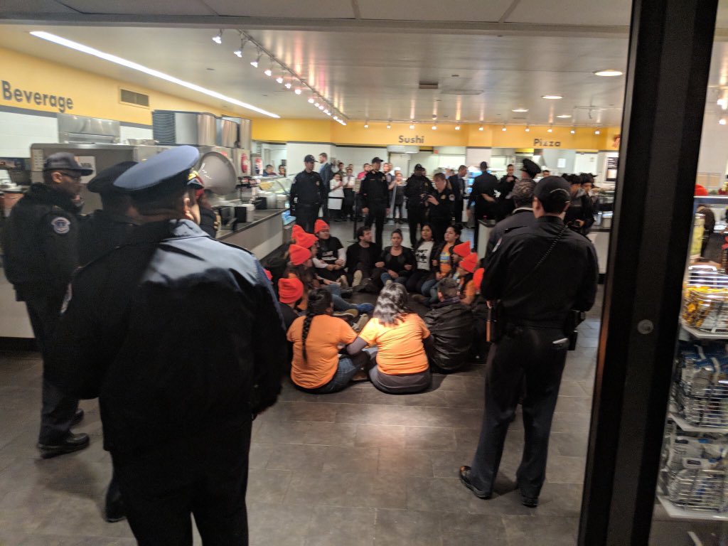 tomaskenn's tweet photo. A bunch of us were arrested today in Congress to call on lawmakers to take action on the #DreamActNow. We need folks to call every Democrat that have yet to declare that they will vote NO on any CR without a #DreamAct. #NoDreamNoDeal https://t.co/khA3qGSEVD