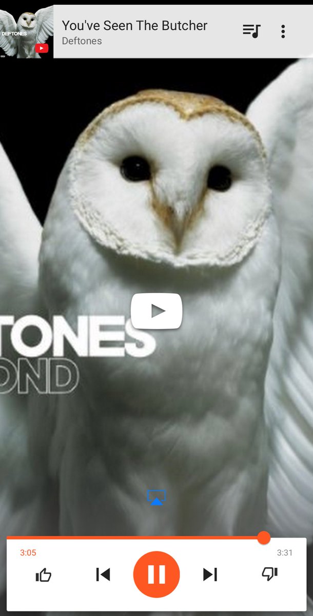 Perfect DFW song to get through the Skylink