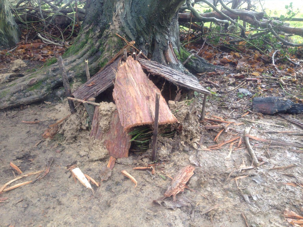 naturecuriosity's tweet photo. Beautiful mini worlds... a few weeks work... https://t.co/HJJtJOJBml