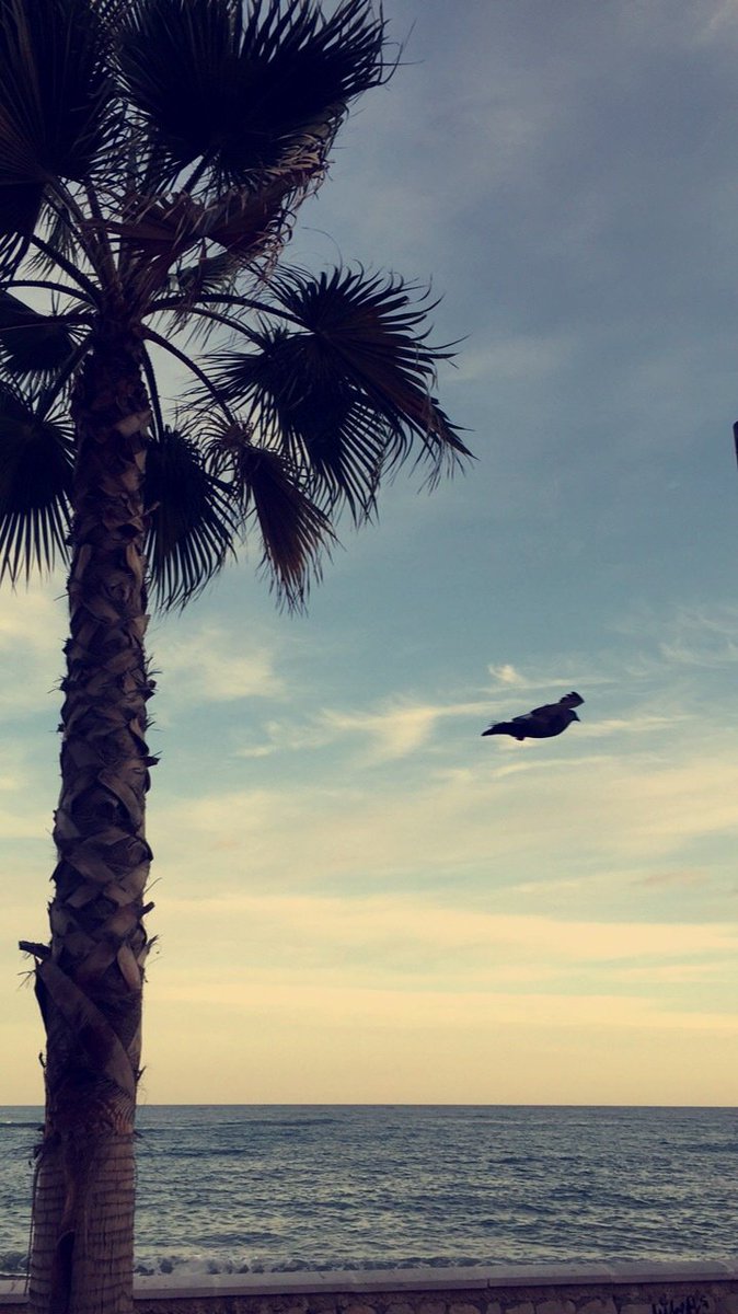 coldteacup's tweet photo. •Here comes the sun• https://t.co/XVuQIUOCQ3 https://t.co/nUMEfrqS33