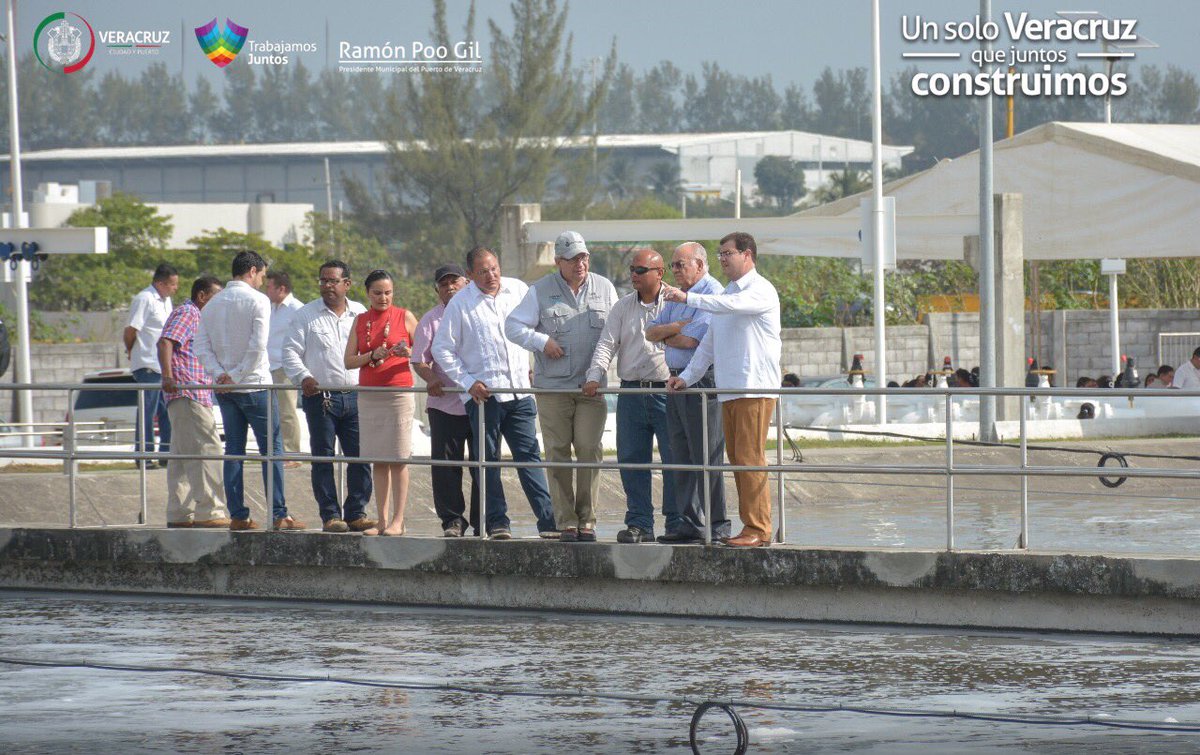 Ramón Poo tweet media