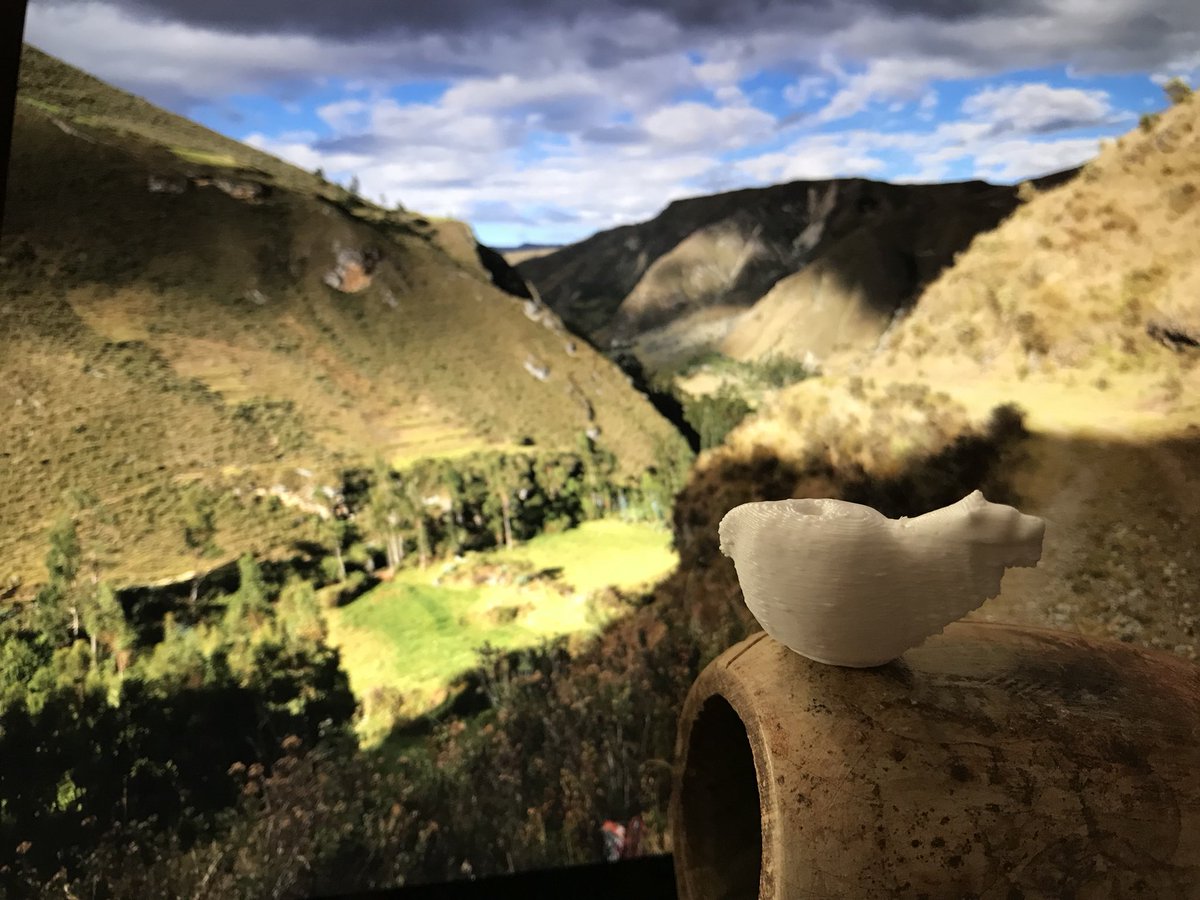 YanoaP's tweet photo. Una llama anda suelta por el camino.... #digitoys @fablablima https://t.co/7tihUpv57m