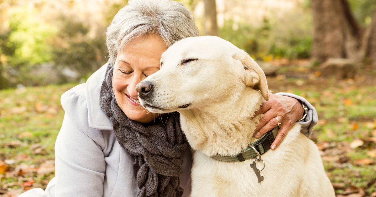 Could Adopting a Dog or Cat Save Your Life? bit.ly/2C4FCWM #petowner