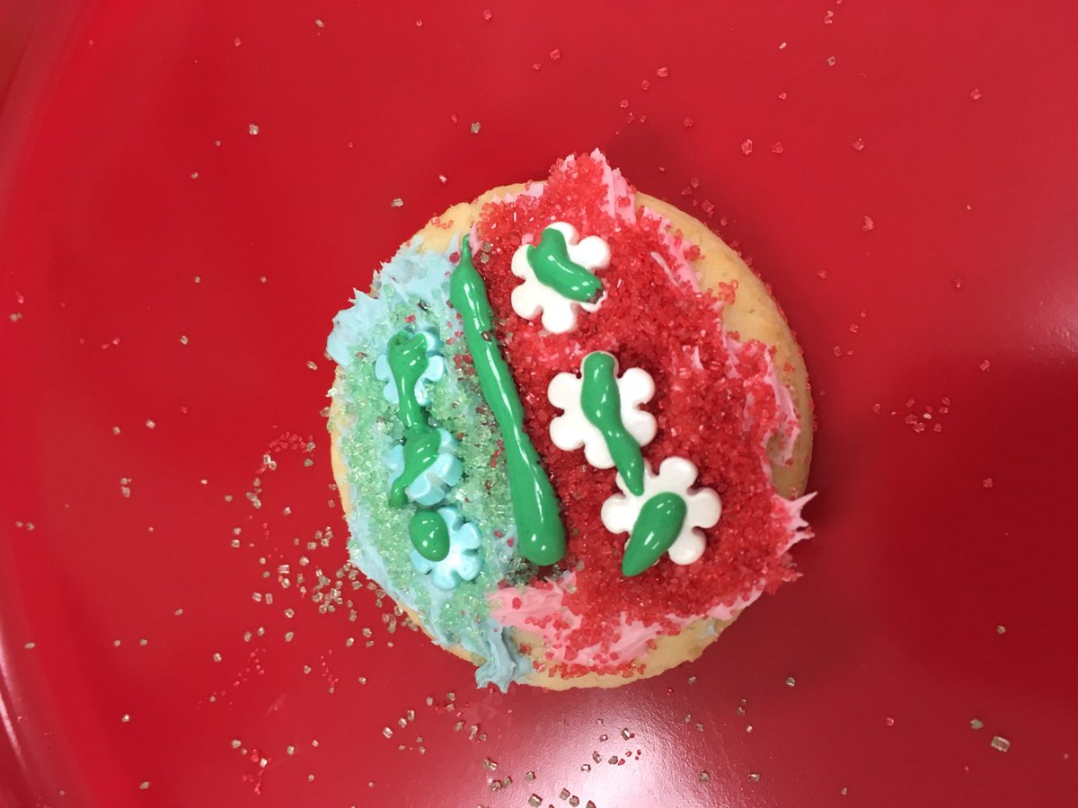 stephfitz14's tweet photo. Cookie decorating was a success! Parents and kids alike enjoyed decorating some yummy cookies as a nice treat before the holidays! #tlesoutheaston #cookiedecorating https://t.co/FGCQFXGEhR