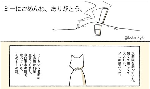 ネギ速 管理人 Twitterで話題 飼い猫が死ぬ時９年振りに抱いたら驚く程軽くなってて泣いた 感動の漫画が１日で8 5万リツイート T Co Xalws47bd0 ネギ速 Twitterで話題 泣ける Web漫画 猫 T Co 4olsoldup0 Twitter