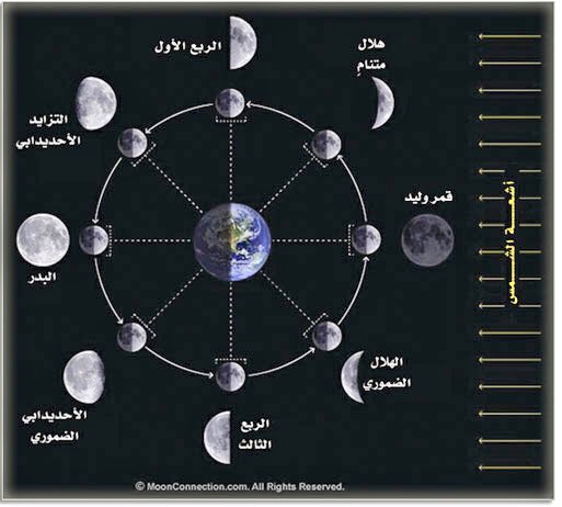 إبن الس داح المتفائل Pa Twitter معلومة علمية وجوه القمر تنقسم إلى 8 مراحل تسمى أطوار القمر حيث تبدأ الأطوار بـ طور القمر الوليد وتنتهي بطور الهلال المتنام وهذه المراحل تبدأ بأول الشهر