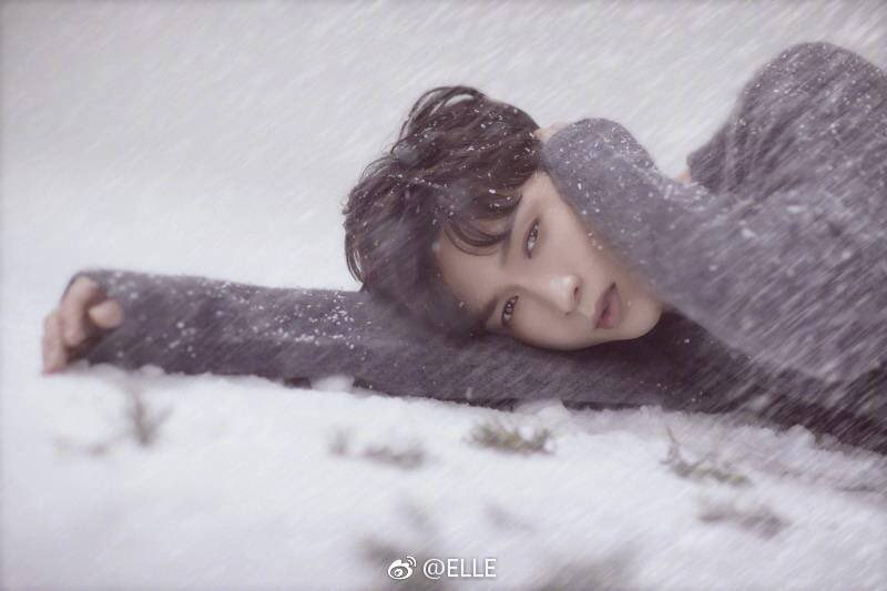 <a href="/weareoneEXO/">EXO</a> [OFFICIAL] 171222 Elle Weibo Update - <a href="/weareoneEXO/">EXO</a> #EXO Lay 
m.weibo.cn/status/4187719…