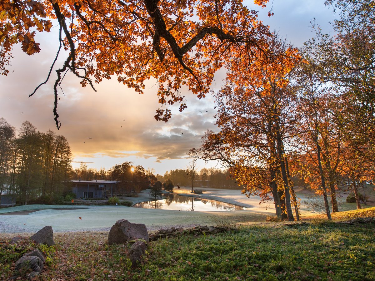 hannokross's tweet photo. @GolfMonthly This is from @estoniangolf last days in October, #SeaCourse hole 13 https://t.co/8mbmZgIcag