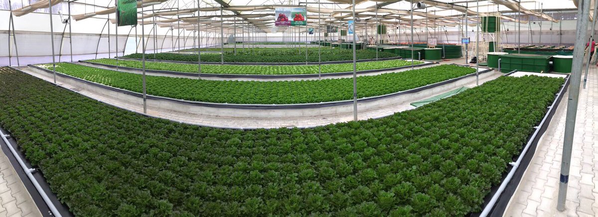 Waterfarmers Aquaponics On Twitter Launched India S Largest