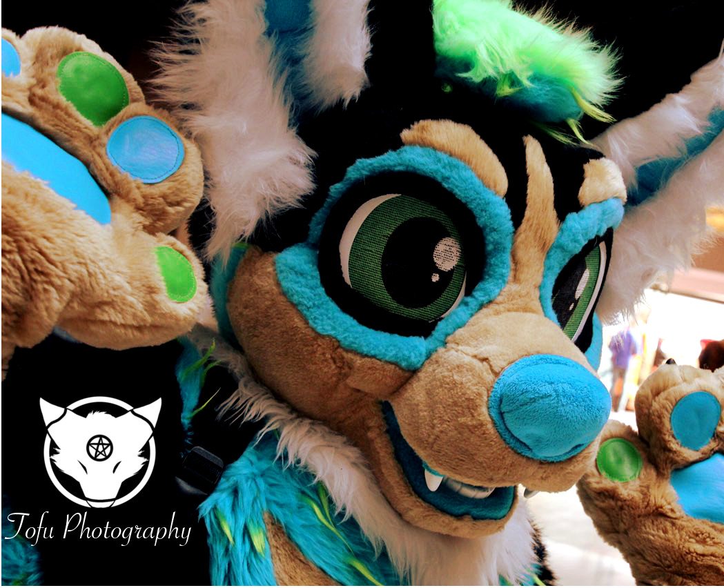 Sempai_Tofu's tweet photo. please make sure the owners get the photos by tagging them thank you.

#mff2017 #midwestfurfest #mwfff17 #mff17 #mwff2017 #midwestfurfest2017 #furfest2017 #furryfandom https://t.co/FX7G89Z4XV