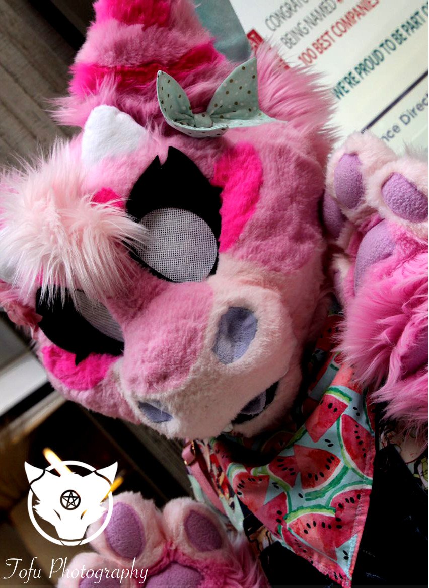Sempai_Tofu's tweet photo. please make sure the owners get the photos by tagging them thank you.

#mff2017 #midwestfurfest #mwfff17 #mff17 #mwff2017 #midwestfurfest2017 #furfest2017 #furryfandom https://t.co/FX7G89Z4XV