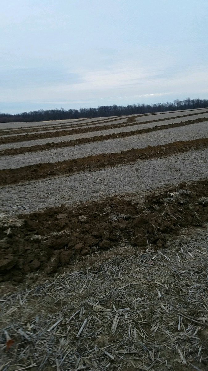 brandonjpetty's tweet photo. Had a great day putting laterals in!  Found some big rocks while pre ripping before the final pass. Got them before they messed up our runs. #tile17 https://t.co/ycsInBDnYu