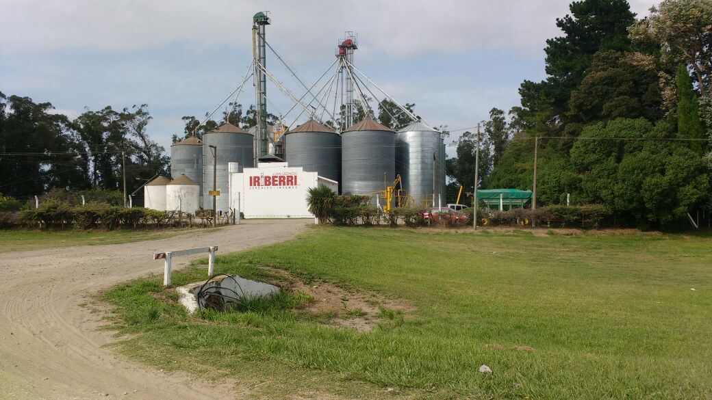 AgroindusNeco's tweet photo. Acercate a firmar tu aporte para #Raíces a tu acopio JL Iriberri @aapresidneco @AIANecochea @CABC_1905 @richardbindi @SecAgropecuario @buck_semillas @vjbujan @hhdospierre @bertellof @HeilandPablo @esmangrullo @Ecardenau @ibaez_julio @ladulcedigital @MipuebloJNFdez https://t.co/E4YNwEXW0g