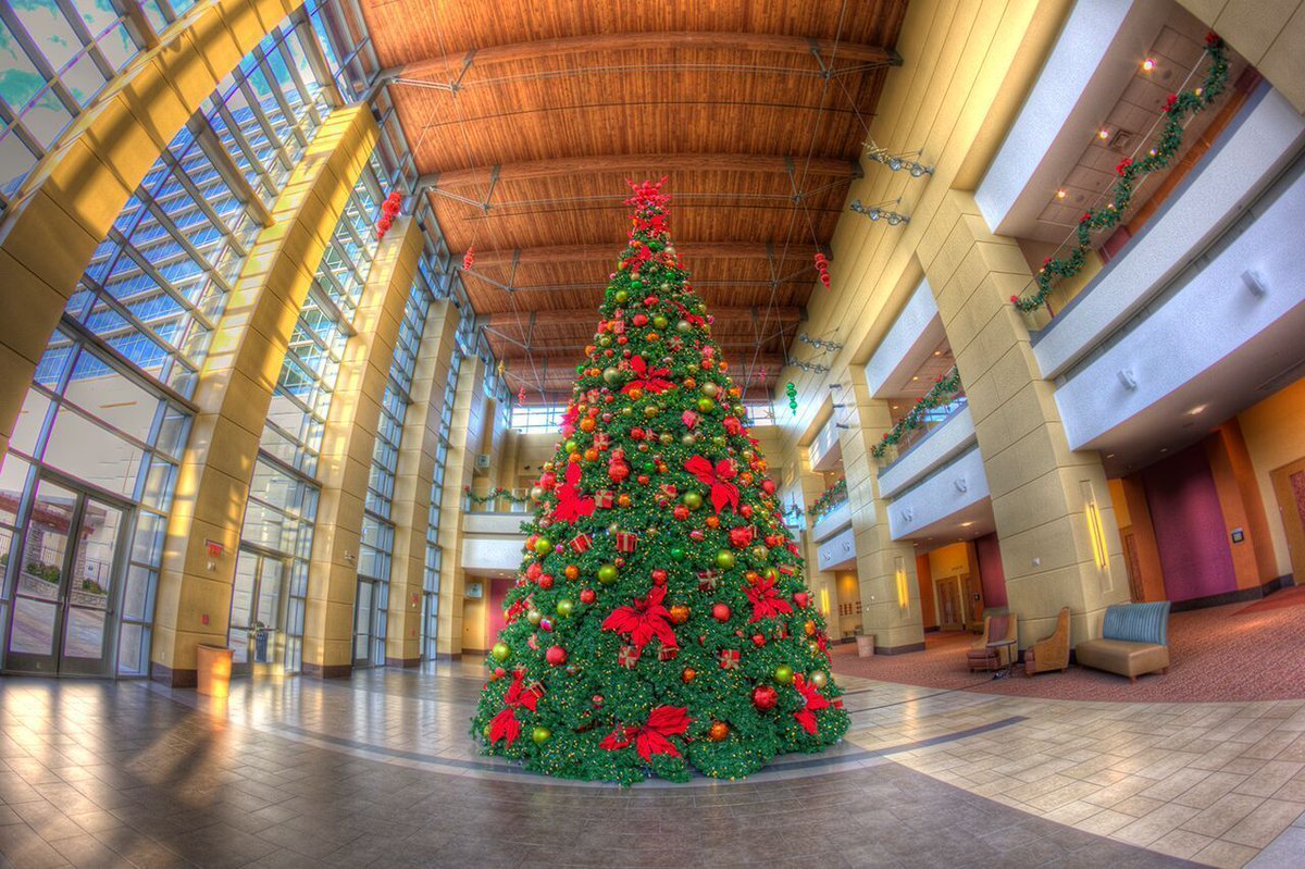 bransonchristms's tweet photo. Take a tour of 150 trees in 70+ locations in America’s Christmas Tree City this season: https://t.co/5pMSBV8EZU #bransonchristmas #branson https://t.co/A4ATPimubH