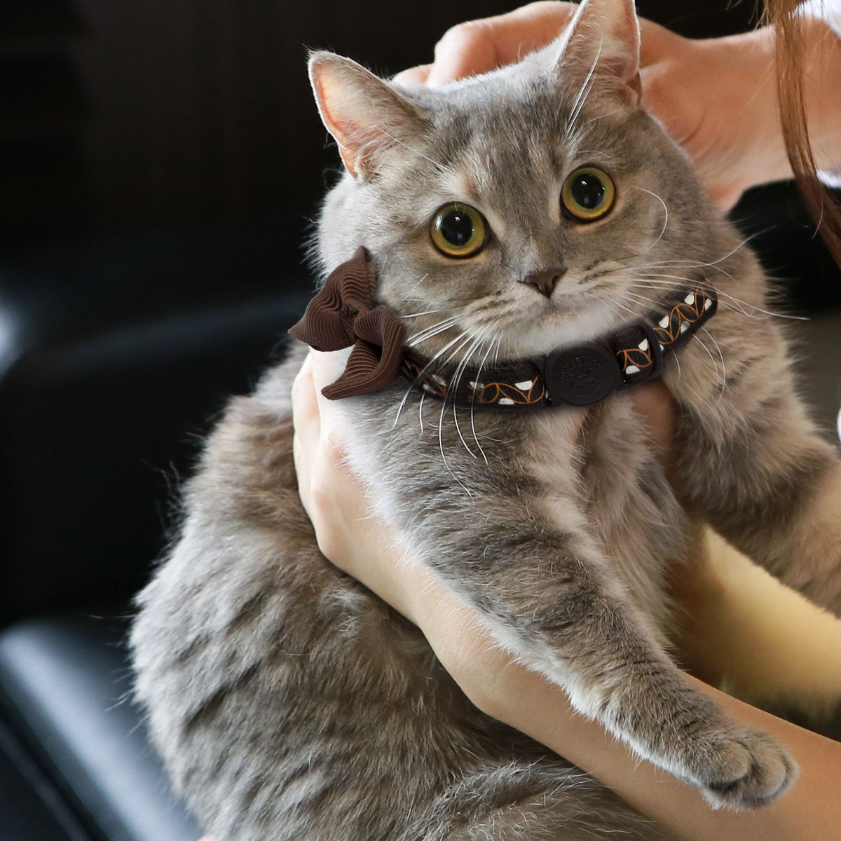 MuntePets's tweet image. Best Christmas Gift for all Cat Lovers! 😻
Special Holiday Price. Get yours here ➡ buff.ly/2Br60xe

TAG someone who would love these!

#cat #cats #catlovers #catlove #cutecat #cuteness #cutenessoverload #kitty #kitten #kittens #cutekittens #holiday #christmas #gift