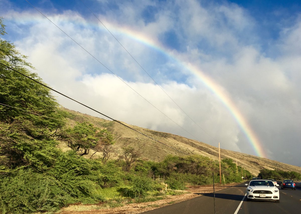 katesrap's tweet image. #rainbowstate