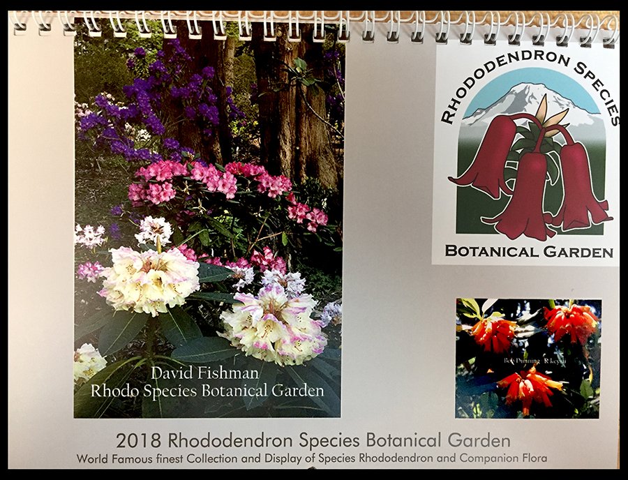 hortfish's tweet photo. Thank you Rhododendron Species Botanical Garden, for adding my image to the cover of your 2018 Calendar! https://t.co/DeIU5J9YQy