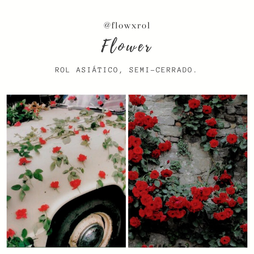 flxwerol's tweet photo. ⠀⠀⠀⠀
⠀⠀⠀ （ ♯ 🌹 ›  花畑 ❜  ₍ + ₎
⠀⠀⠀ ⠀⠀⠀ ⠀⠀⠀ ㅡ welcome!
⠀⠀⠀⠀⠀⠀⠀⠀⠀ https://t.co/WBJj4AFB4x
