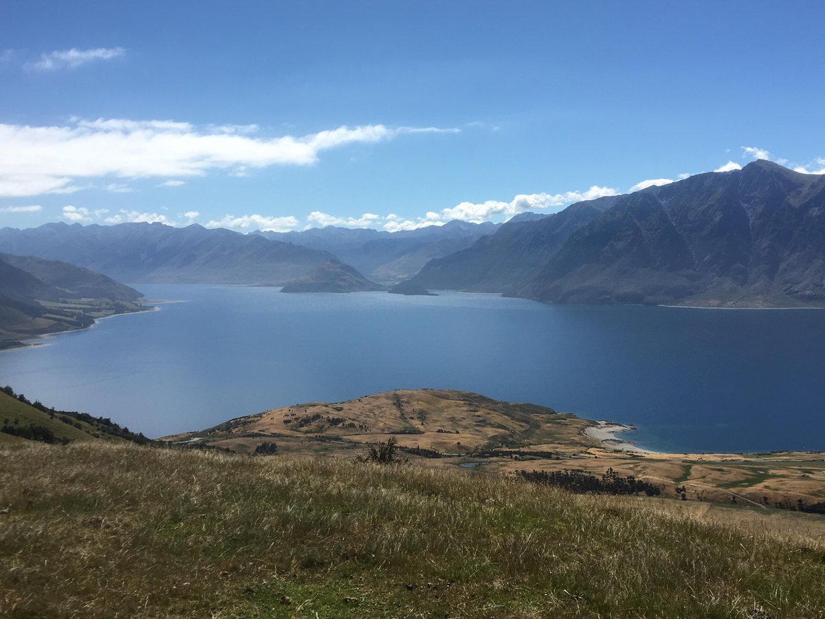 BioPharmCatalyst (crusadernz) Twitter