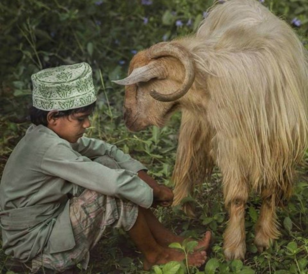 إللي يودك وده 
وإللي بغاك ابغاه

وإللي يمن بروحه
شوري عليك إنساه

وزرعن يحصده غيرك
لا تمتحن تسقاه

ارفع حظارك عنه
وخلي الغنم ترعاه