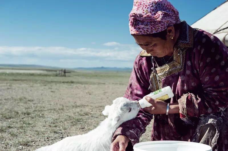 RT @InChinanow: #livestock #mongolia #innermongolia #sheep #farming #wool #fields #photooftheday #animallove #lamb #sheep #sheeprearing #asia #studyinchina #explorechina #beautifuchina #aww #amazingchina #beautifulscenary #loveChina A local woman feeds a…