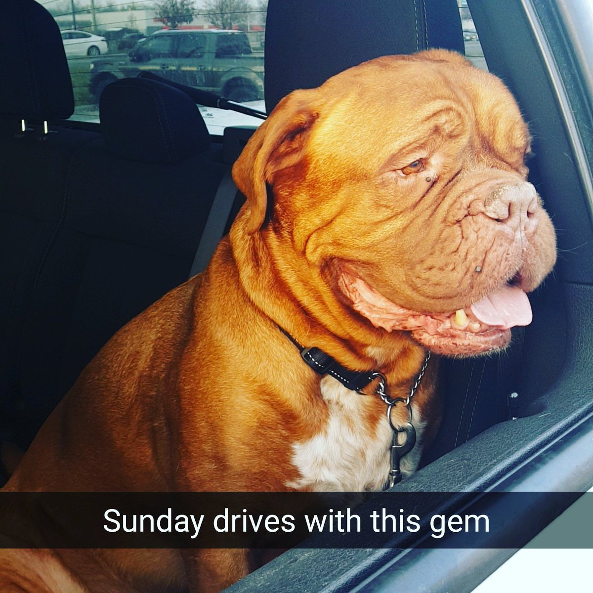 fishwizard13's tweet image. My man D scoping bitches 
 #sundacruises #foodsavage