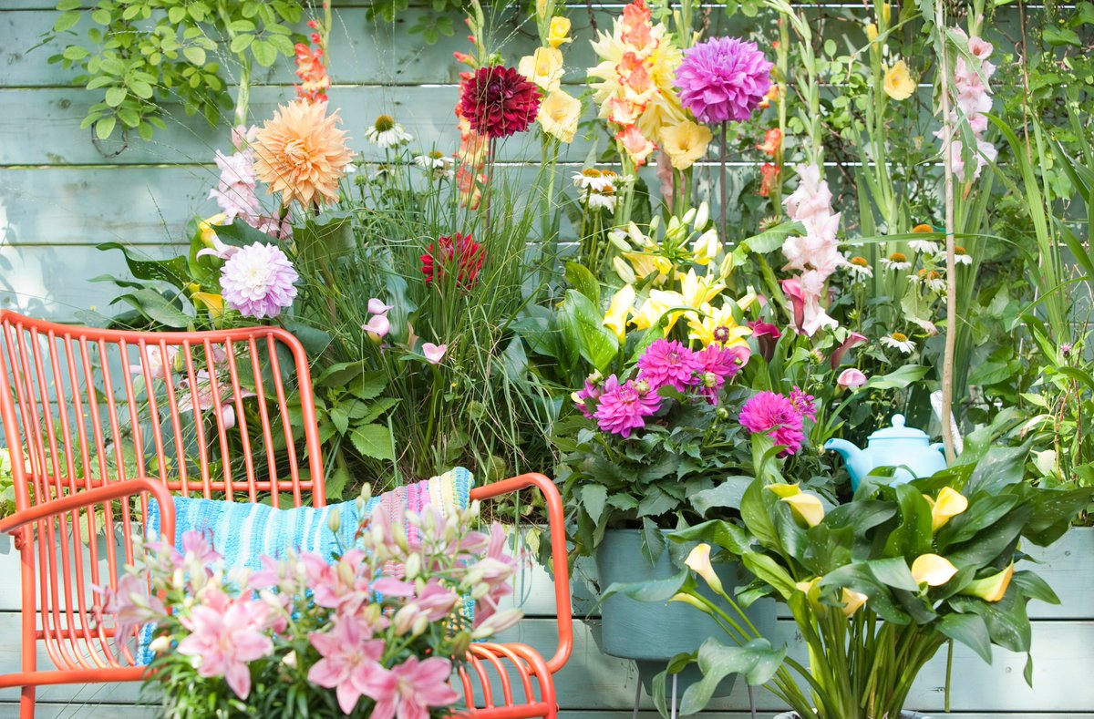 Ter versterking van ons Team Operations zoeken wij per direct een Hoofd Productie Droogverkoop. Kom jij ons team versterken? kapiteyn.nl/nl/vacatures