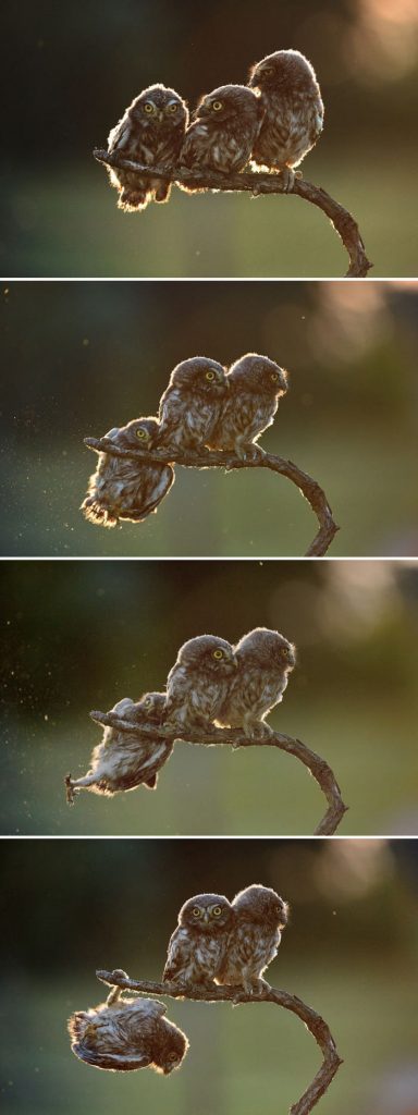 HEHE.BLOG tweet media